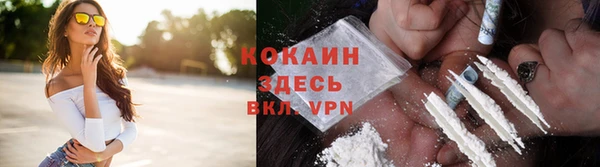 прущая мука Арсеньев
