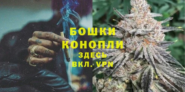 стафф Аркадак