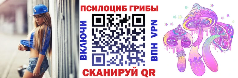 Псилоцибиновые грибы Cubensis  Кувшиново 